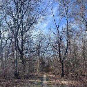 Meet your Posher, Anj